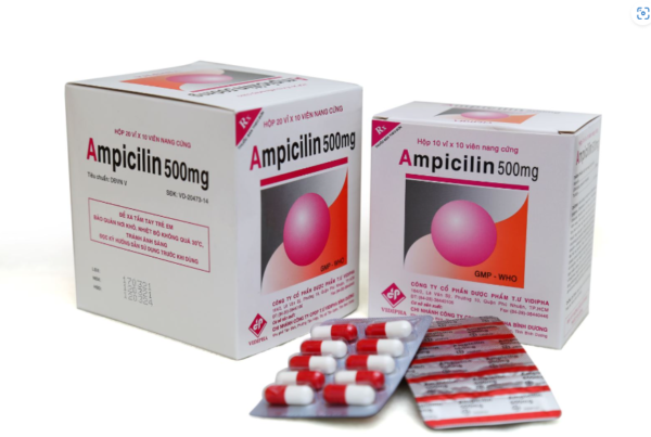 AMPICILIN 500 (Ampicilin 500mg) Hộp 10 vỉ x 10 viên