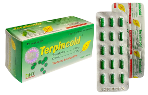 TERPINCOLD VỈ (Terpin Hydrat 100mg, Codein 15mg) Hộp 6 vỉ x 15 viên
